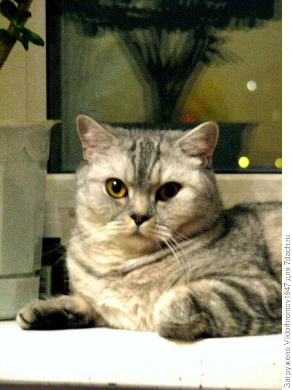 Не сердите меня...