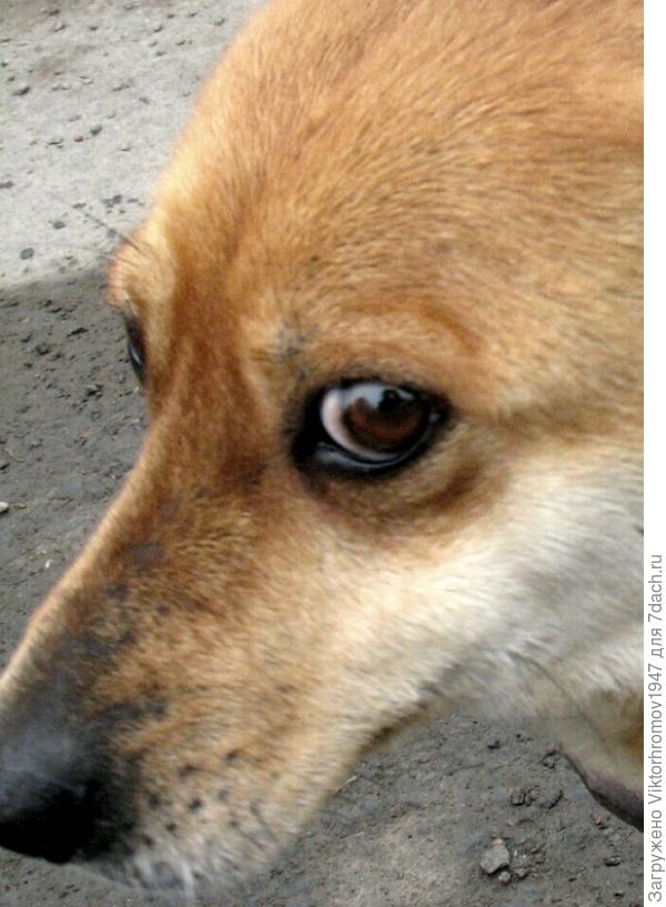 Прости меня...заигрался и забыл.