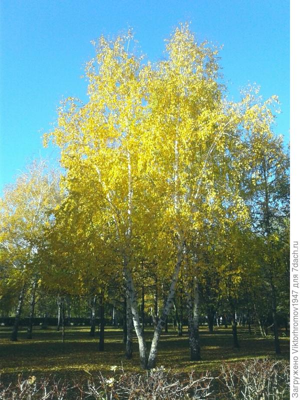 Природа встречает осень.