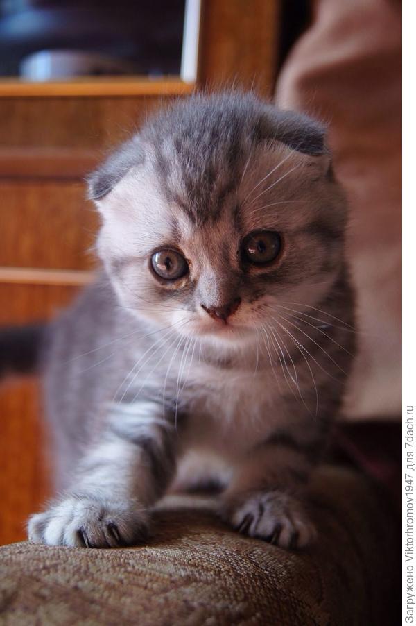 Назовите меня как нибудь.Я уже взрослый!