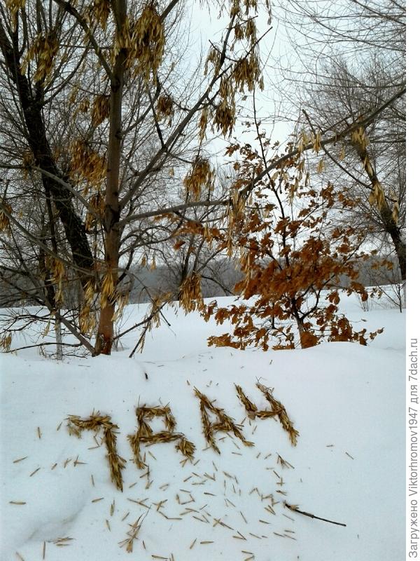 Ветром надуло...