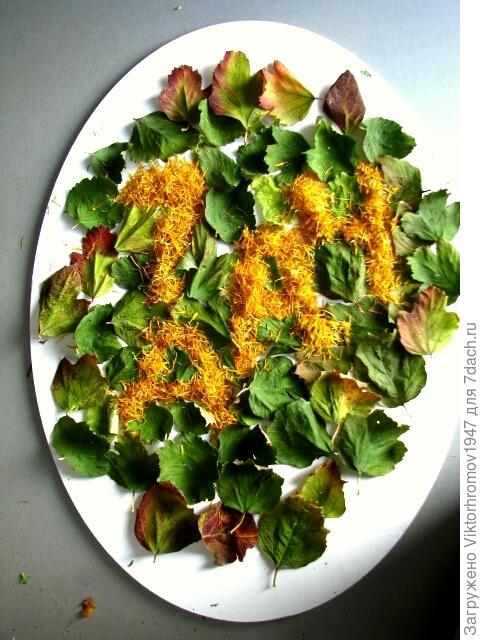 Зимние напевы...