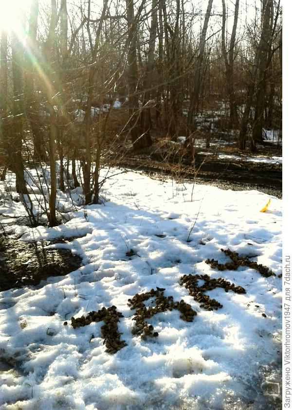 Из еловых шишечек,автограф к приходу весны 2017 года.