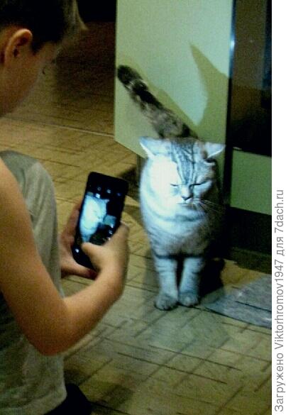 Поздравляю!Чемпионы молодцы!А мы будем тренироваться и стремиться быть как Вы.