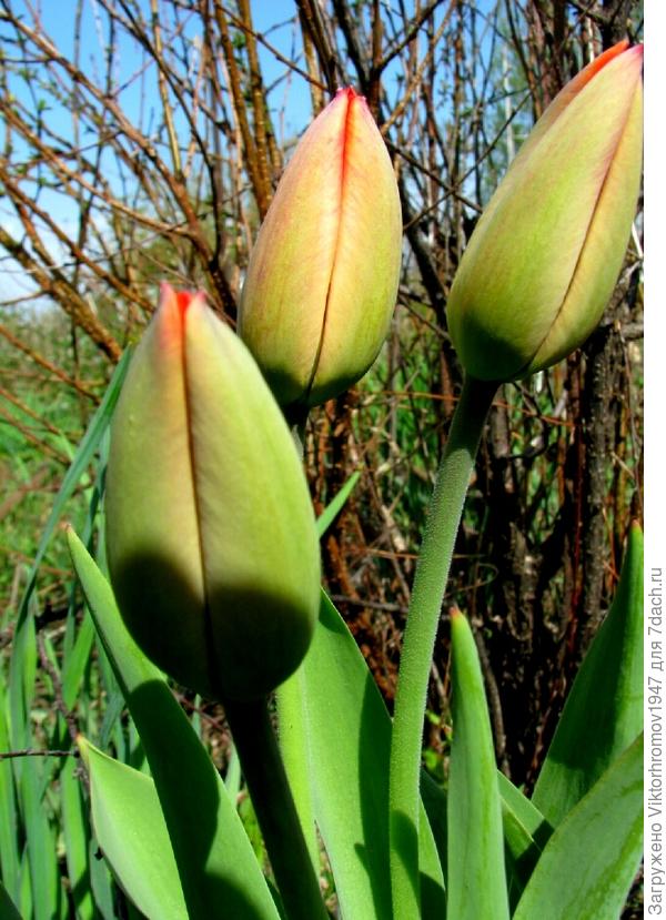 Любви и удачи!