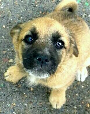 Назовите меня как нибудь.