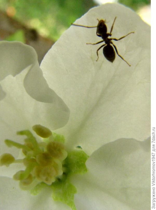 Сладенького тоже хочется.