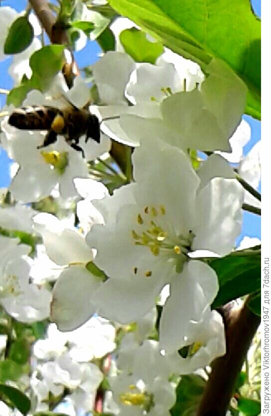 Какой же выбрать?