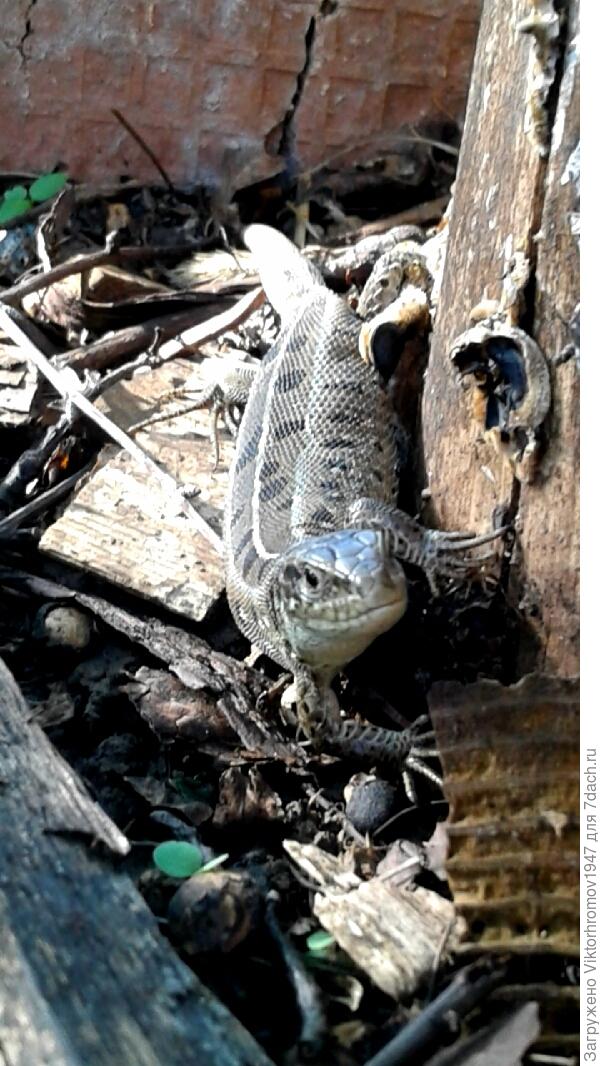 Где тут у вас родильное отделение?