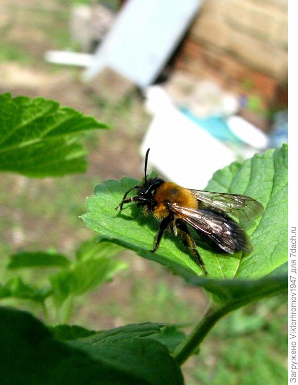 Чуток передохну и дальше...