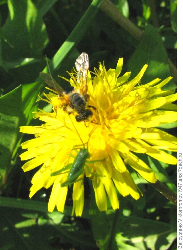 Давай дружить!