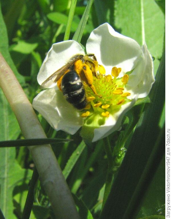 Устала.Прикемарила.