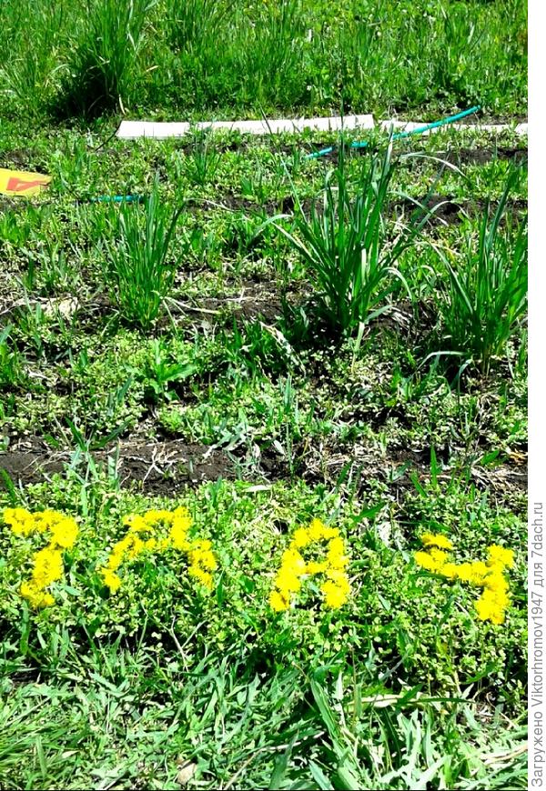 Не растаёмся ни когда.