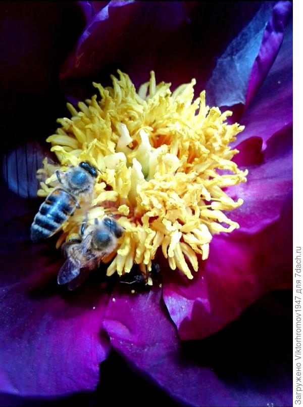 Да...Припозднились.Придётся здесь заночевать.