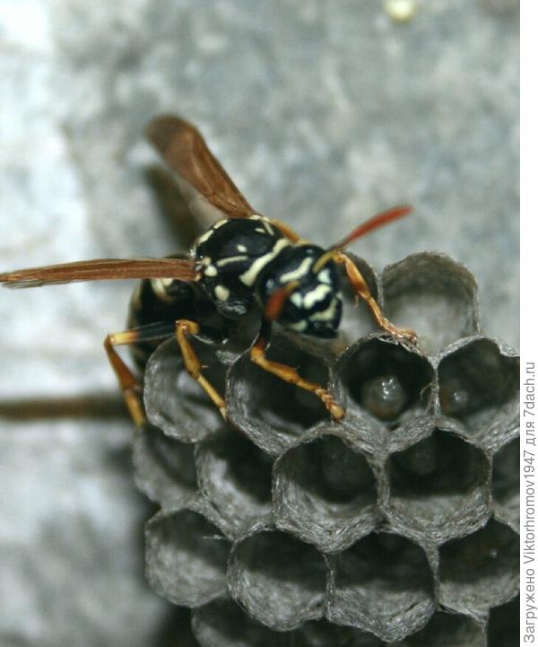 Все на месте.Полечу на работу.