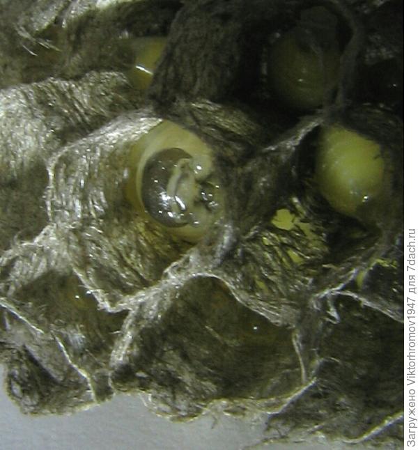 Скоро полечу...