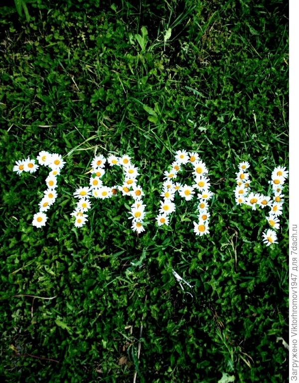 Всем радости и семидачного здоровья!