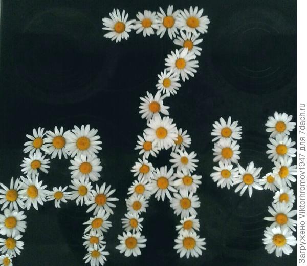 УДАЧИ всем семидачникам!