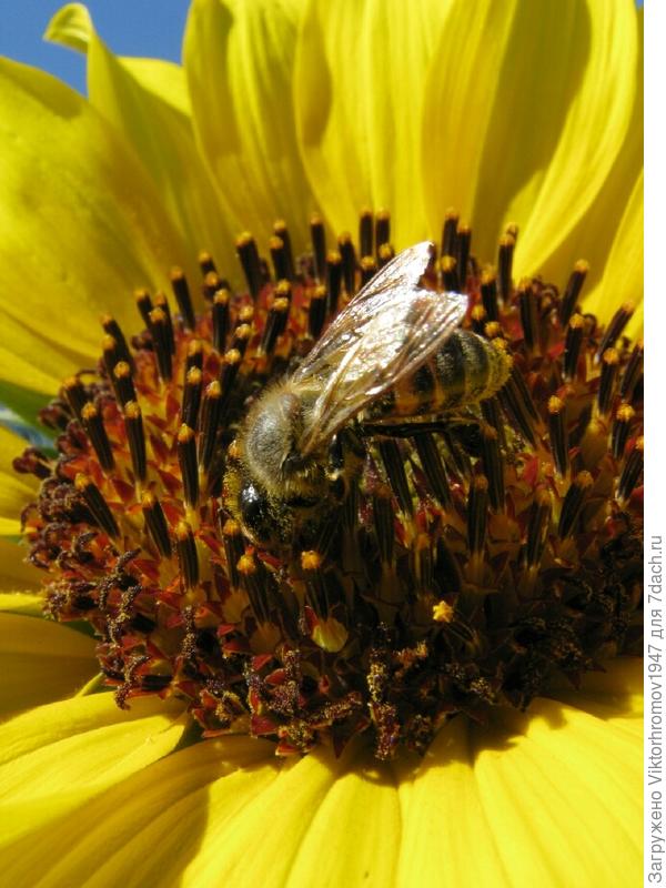 Ох и вкусно!