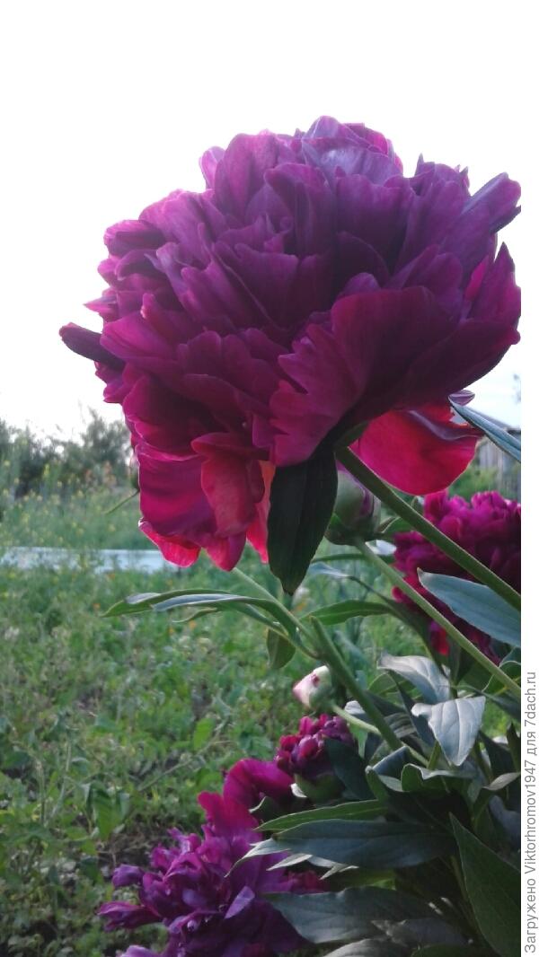 С днём рождения!