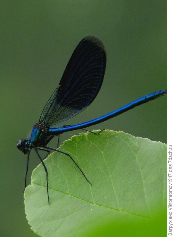 Как меня зовут?