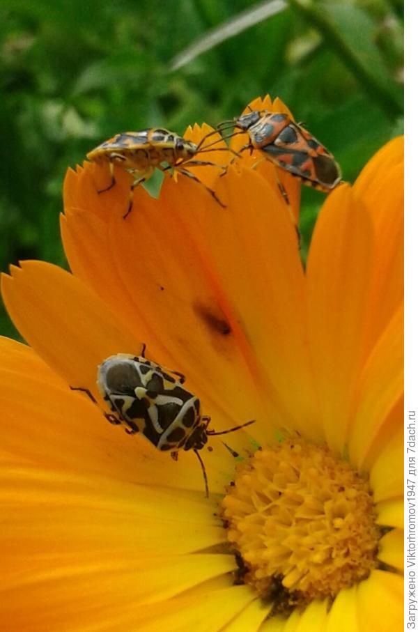 Мужской разговор.