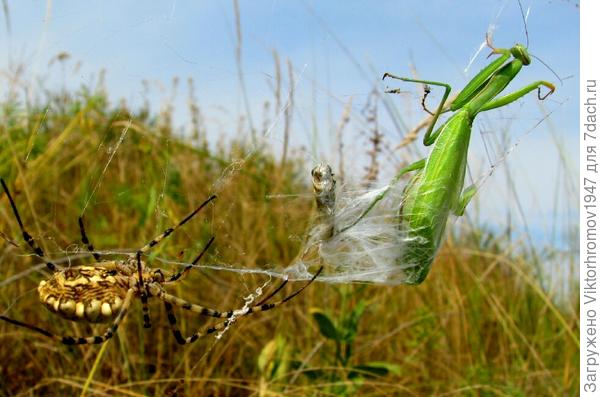 Такова жизнь.