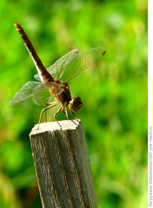 Как меня зовут?