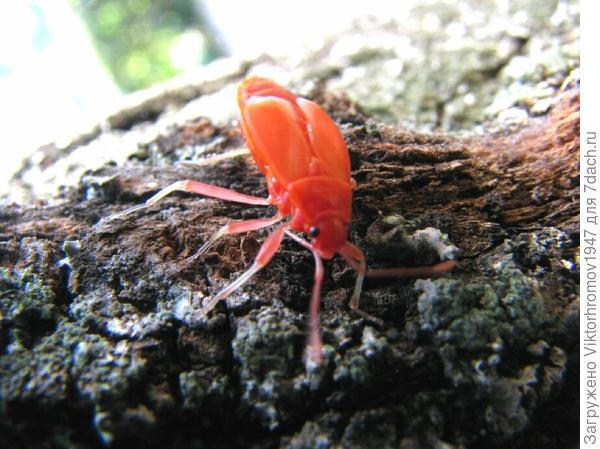 Как меня зовут?