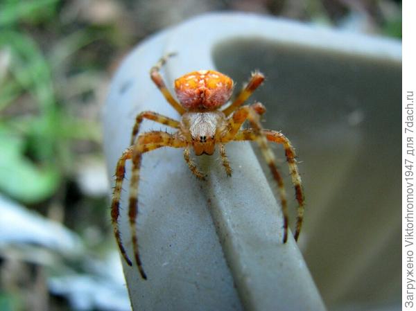 Как себя с ним вести?