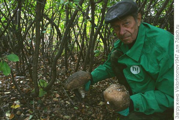 И вот наши мечты стали превращаться в реальность