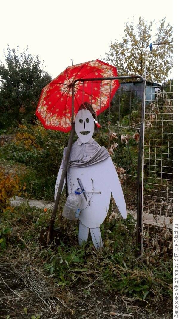 Старому зонтику нашлось дело на даче.