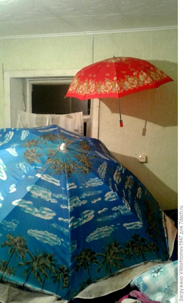 Подружились! Теперь у меня большой и красивый друг!