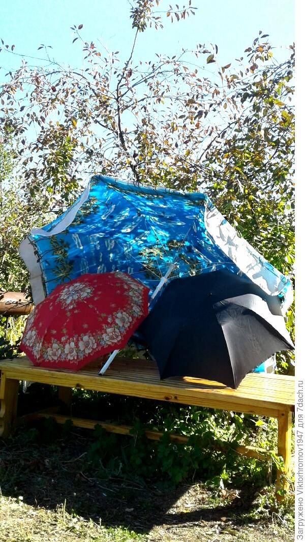 &amp;quot;Не разлей вода!&amp;quot;