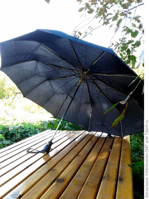 После прогулки нужно полежать и хорошо просохнуть.