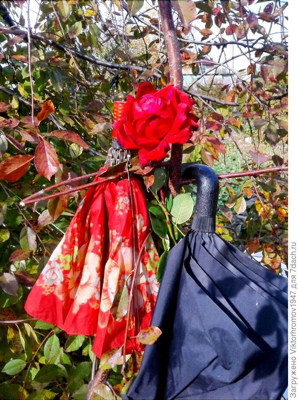 Эту розу любви!