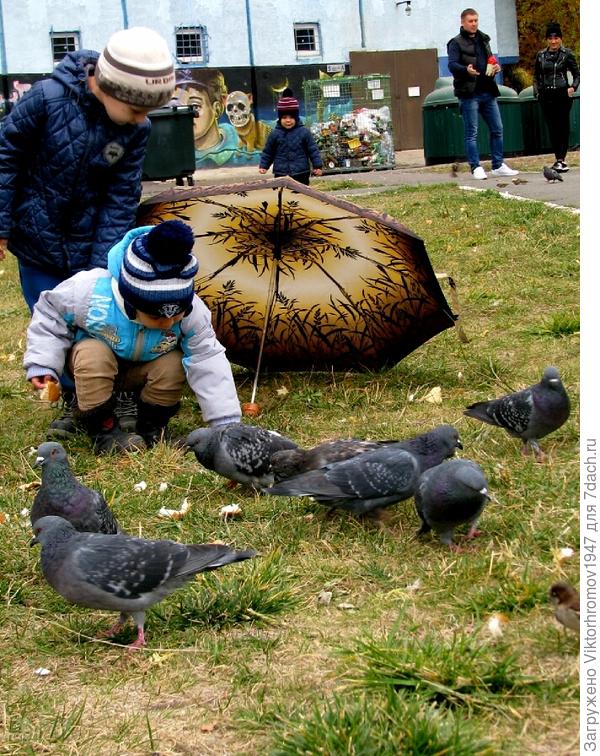 А зонтик где?