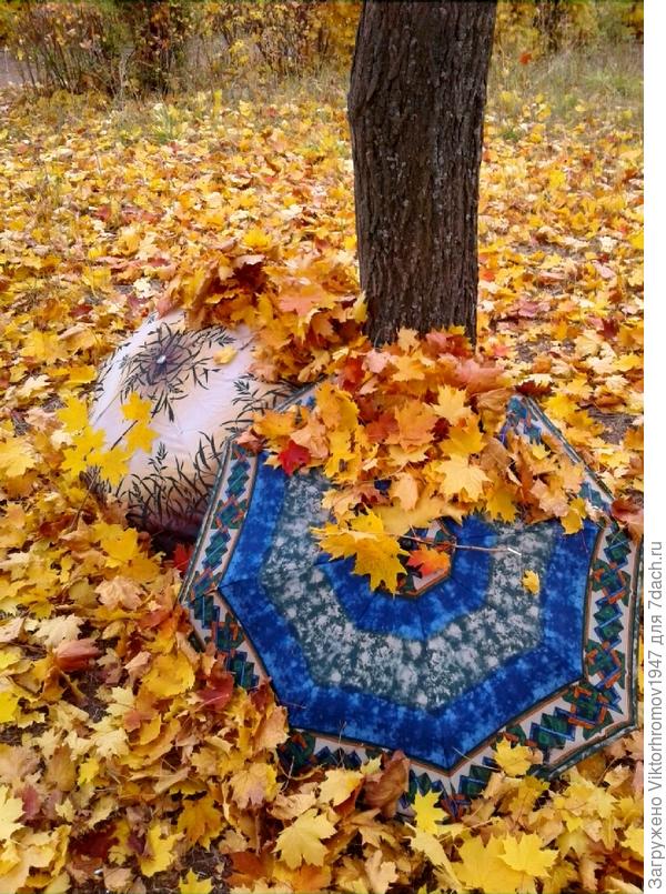 Да золотой!