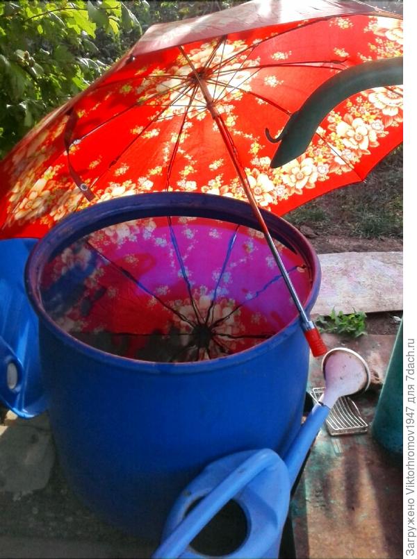 Листья летят.