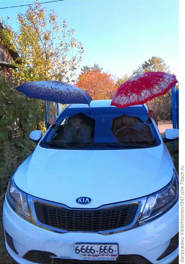 Мы поможем...будем дворниками.