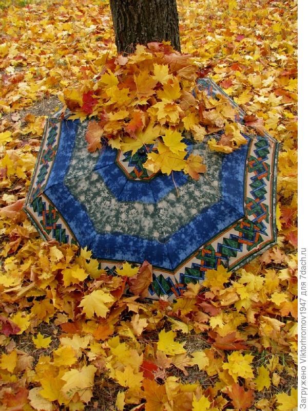 Обильный листопад.