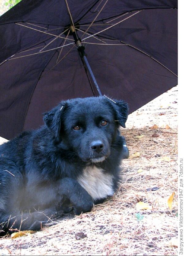 Друзей не бросаем в беде.