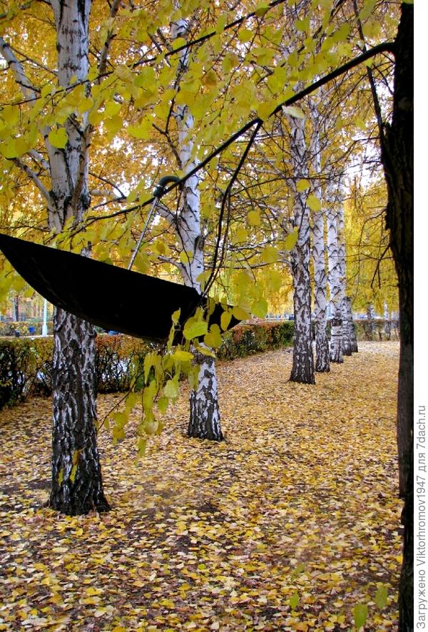 Успей просохнуть.