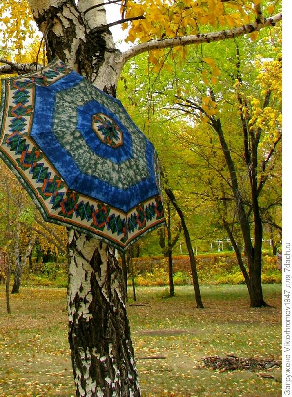 Обнимал берёзку...