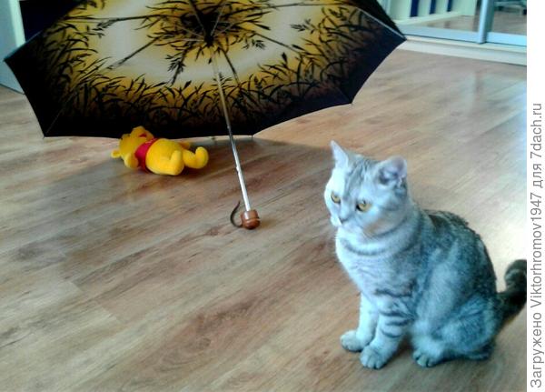 Не надолго!