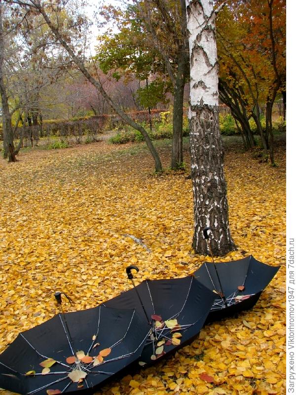 Придут или не придут?..