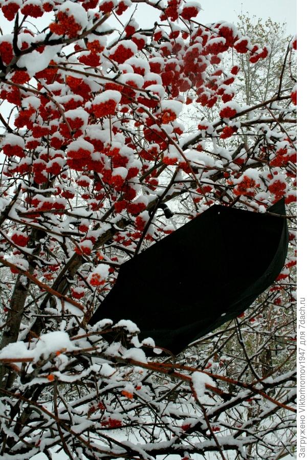 да, снег &amp;quot;повалил&amp;quot;.