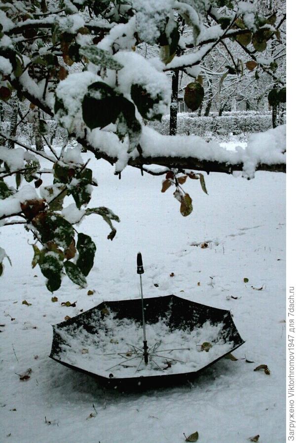 а то бы снегом завалило.