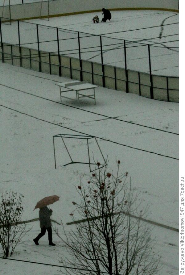 Случайный взгляд из окна...