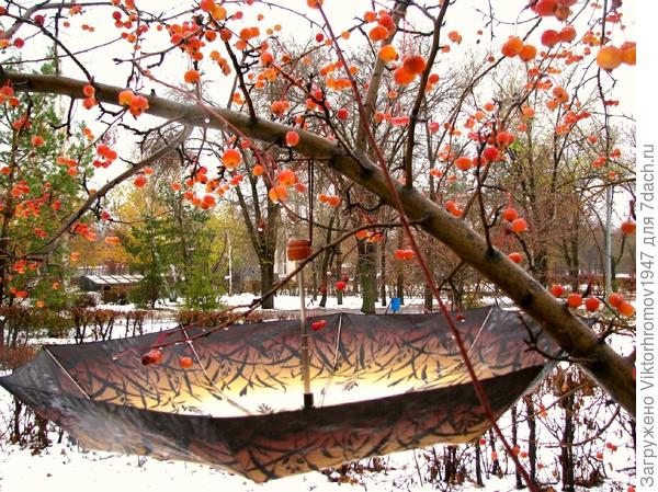 Ранетки &quot;дичка&quot;становятся особенно вкусными.